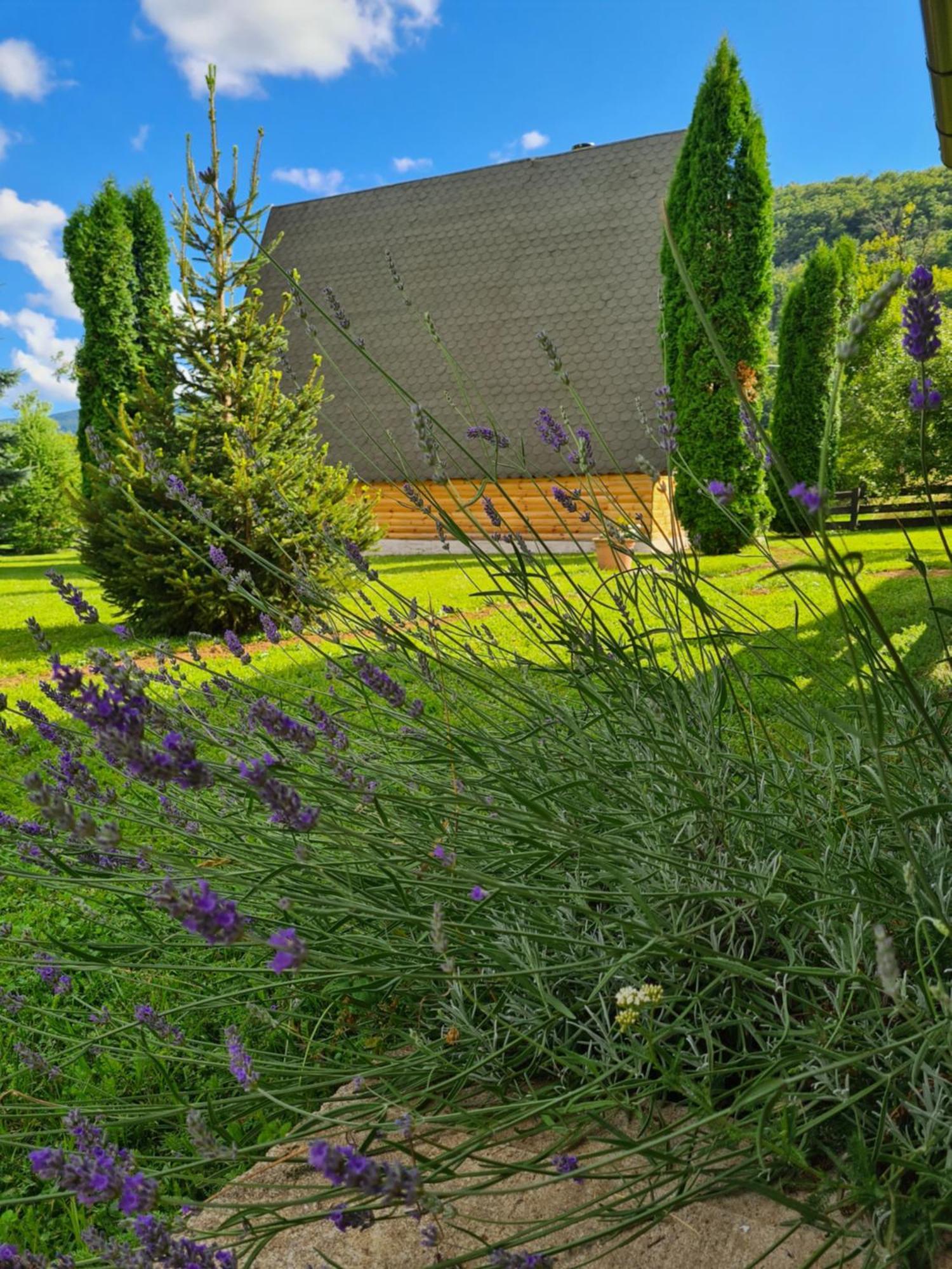 Chalet Velebitska Kuca Velika Plana Екстериор снимка